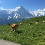 Lejlighed Locherboden Grindelwald