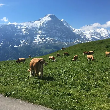 Apartment Locherboden Grindelwald